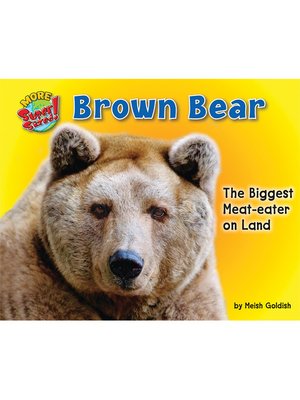 cover image of Brown Bear